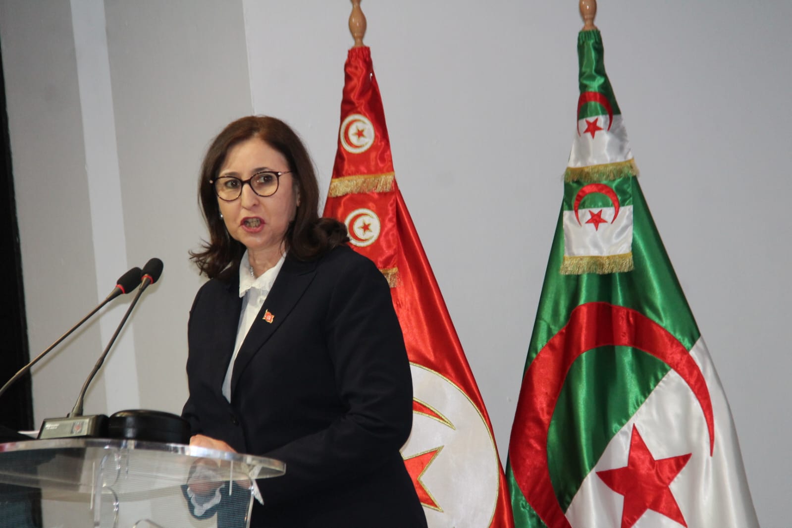 رئيسة الحكومة : المنتدى الاقتصادي التونسي الجزائري خطوة جديدة في مسار التعاون بين البلدين 